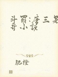 斗罗:唐三是我哥小说