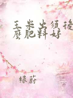 玉米出须后施什么肥料好