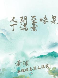 人间至味是清欢丁满意