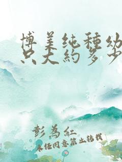 博美纯种幼犬一只大约多少钱