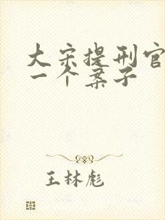 大宋提刑官几集一个案子