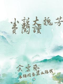 小说大魏芳华免费阅读