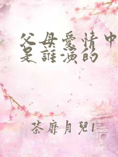 父母爱情中安欣是谁演的