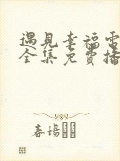 遇见幸福电视剧全集免费播放