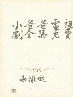 小爸爸电视连续剧全集免费