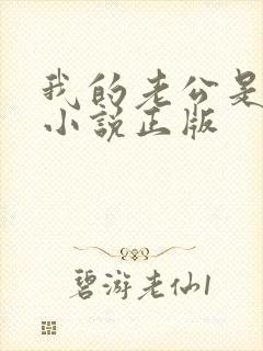 我的老公是冥王小说正版