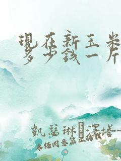 现在新玉米价格多少钱一斤
