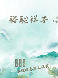 骆驼祥子 小说