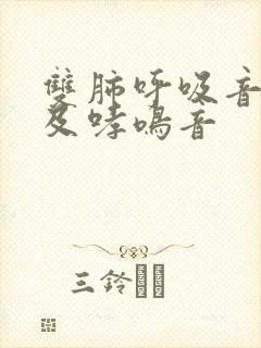 双肺呼吸音粗闻及哮鸣音