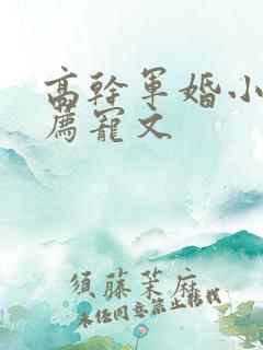 高干军婚小说推荐宠文 高干军婚小说推荐宠文