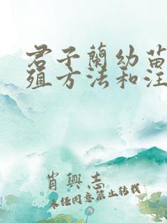 君子兰幼苗的养殖方法和注意事项