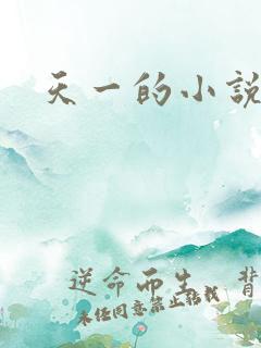 天一的小说作品