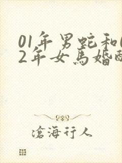 01年男蛇和02年女马婚配好吗