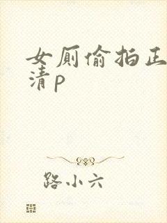 女厕偷拍正面高清p