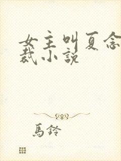 女主叫夏念的总裁小说