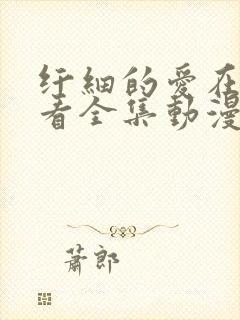 纤细的爱在线观看全集动漫