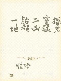一胎二宝总裁爹地超凶猛免费观看