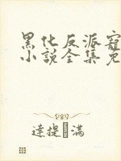 黑化反派宠上天小说全集免费