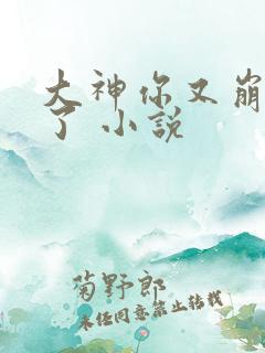 大神你又崩人设了 小说