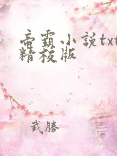 帝霸小说txt精校版