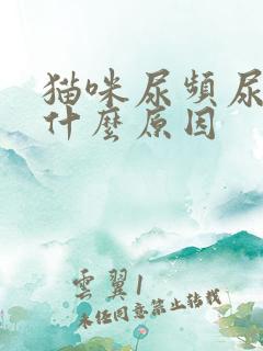 猫咪尿频尿少是什么原因