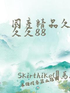 国产精品久久久久久88