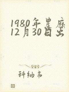 1980年农历12月30日出生八字