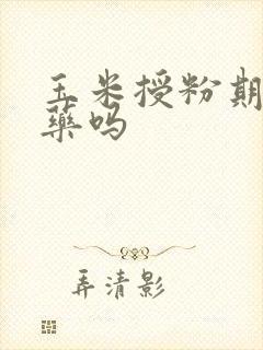玉米授粉期能喷药吗