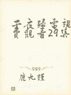 子夜归电视剧免费观看29集