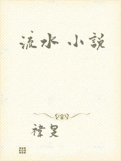 流水 小说