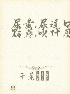 尿黄,尿道口有点疼,吃什么药