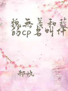 魏无羡和蓝忘机的cp名叫什么