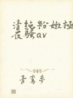 清纯粉嫩极品夜夜骚av