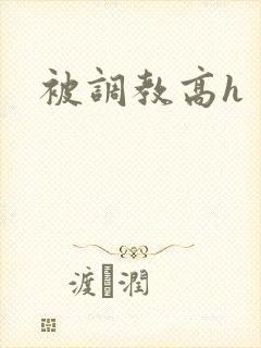 被调教高h