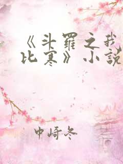 《斗罗之我叫比比寒》小说免费阅读