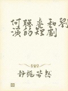 何聪睿和刘念主演的短剧