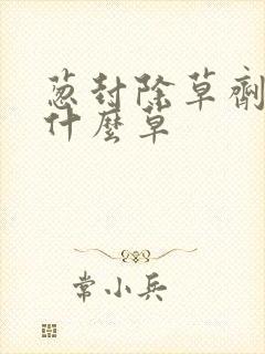葱封除草剂专打什么草