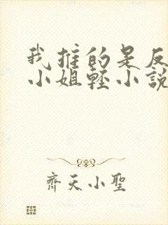 我推的是反派大小姐轻小说