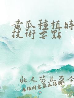 黄瓜种植时间及技术要点