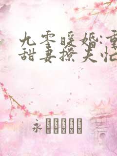 九零暖婚:重生甜妻撩夫忙全文免费