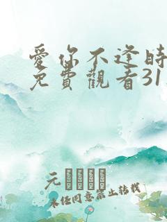 爱你不逢时短剧免费观看31集播放