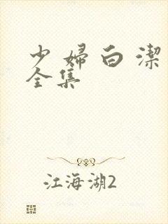 少 妇 白 洁全集