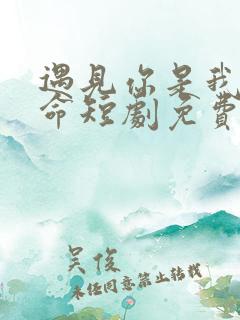 遇见你是我的宿命短剧免费观看全集 遇见你是我的宿命短剧免费观看全集