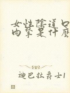 女性阴道口白色肉揪是什么