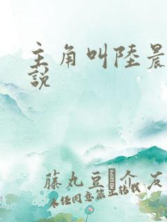 主角叫陆晨的小说