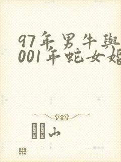 97年男牛与2001年蛇女婚姻 97年男牛与2001年蛇女婚姻