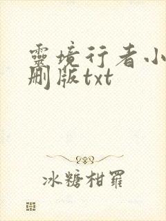 灵境行者小说未删版txt