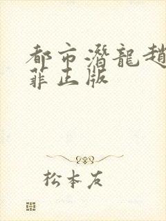 都市潜龙赵东苏菲正版 都市潜龙赵东苏菲正版