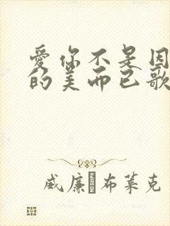 爱你不是因为你的美而已歌词