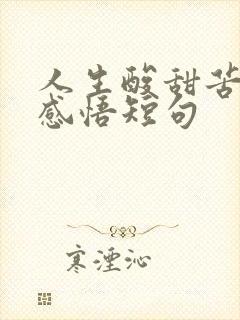 人生酸甜苦辣的感悟短句